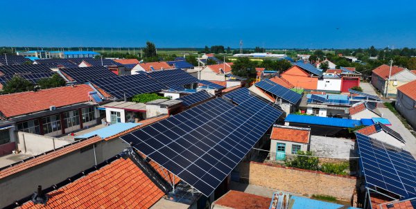 锐评｜中国事绿色发展最求实的行为派