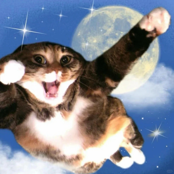 苟且一刻：指挥让你春节加班并给9W，你会若何回？